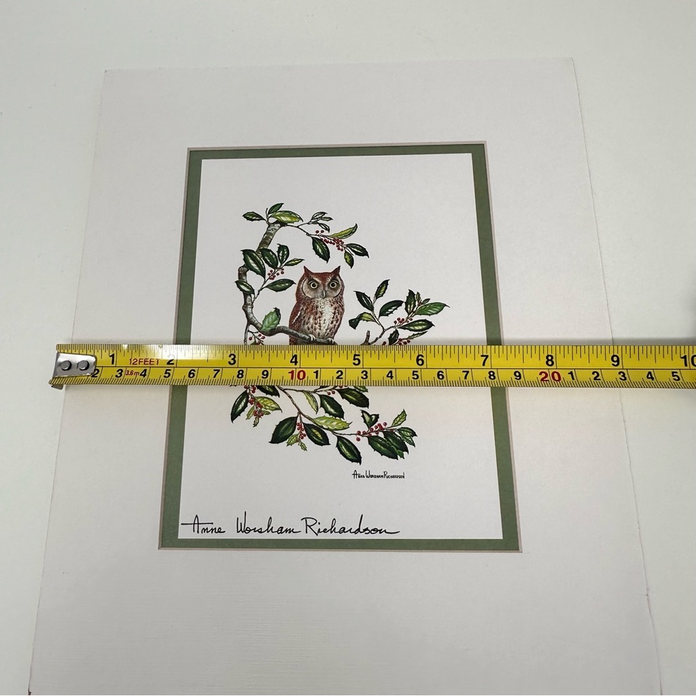 Anne Worsham Richardson Screech Owl and Saw Whet Owl
Signed Prints - Picture 15 of 16